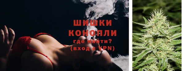 индика Белоозёрский