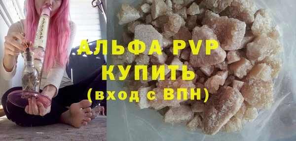 индика Белоозёрский
