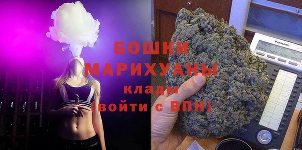 индика Белоозёрский