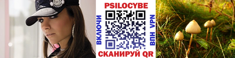 сколько стоит  Пионерский  Псилоцибиновые грибы прущие грибы 